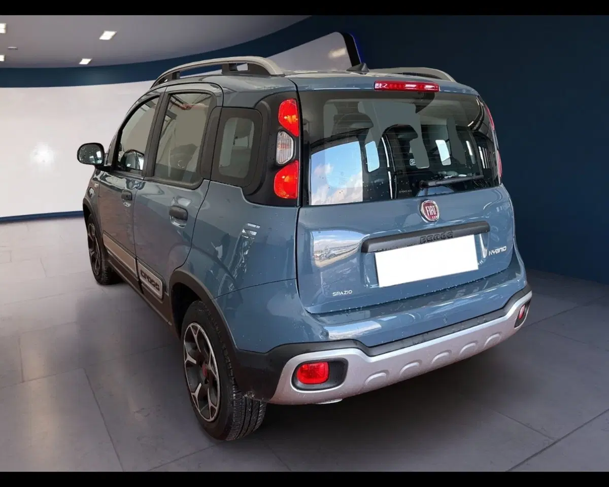Fiat Panda Cross usata a Torino (9)