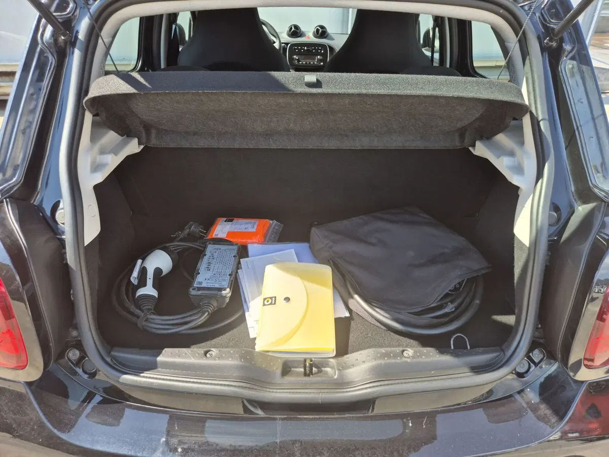 smart forfour usata  (11)