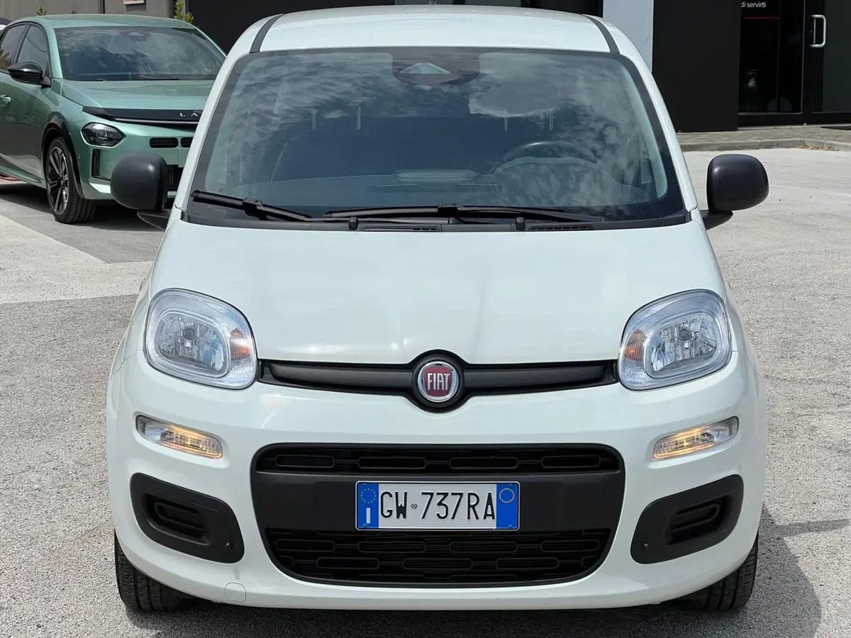 Fiat Panda Cross usata a Matera (2)