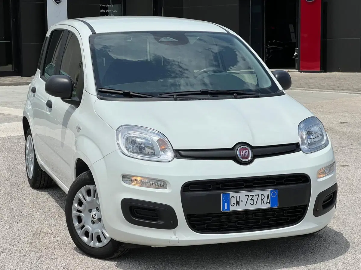 Fiat Panda Cross usata a Matera (3)