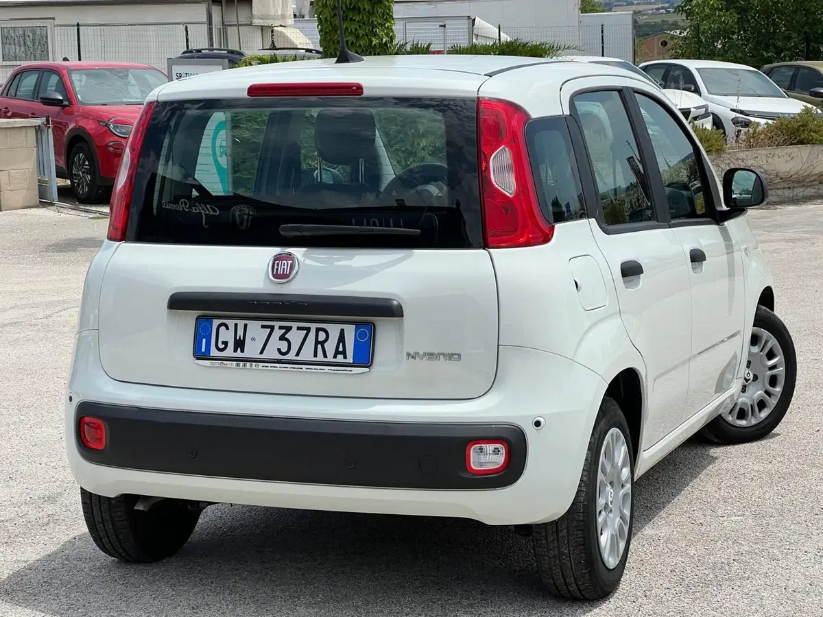 Fiat Panda Cross usata a Matera (4)