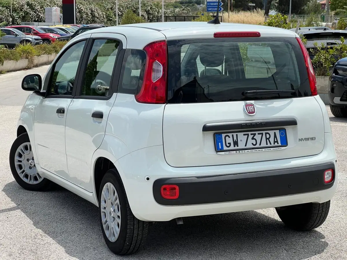 Fiat Panda Cross usata a Matera (7)