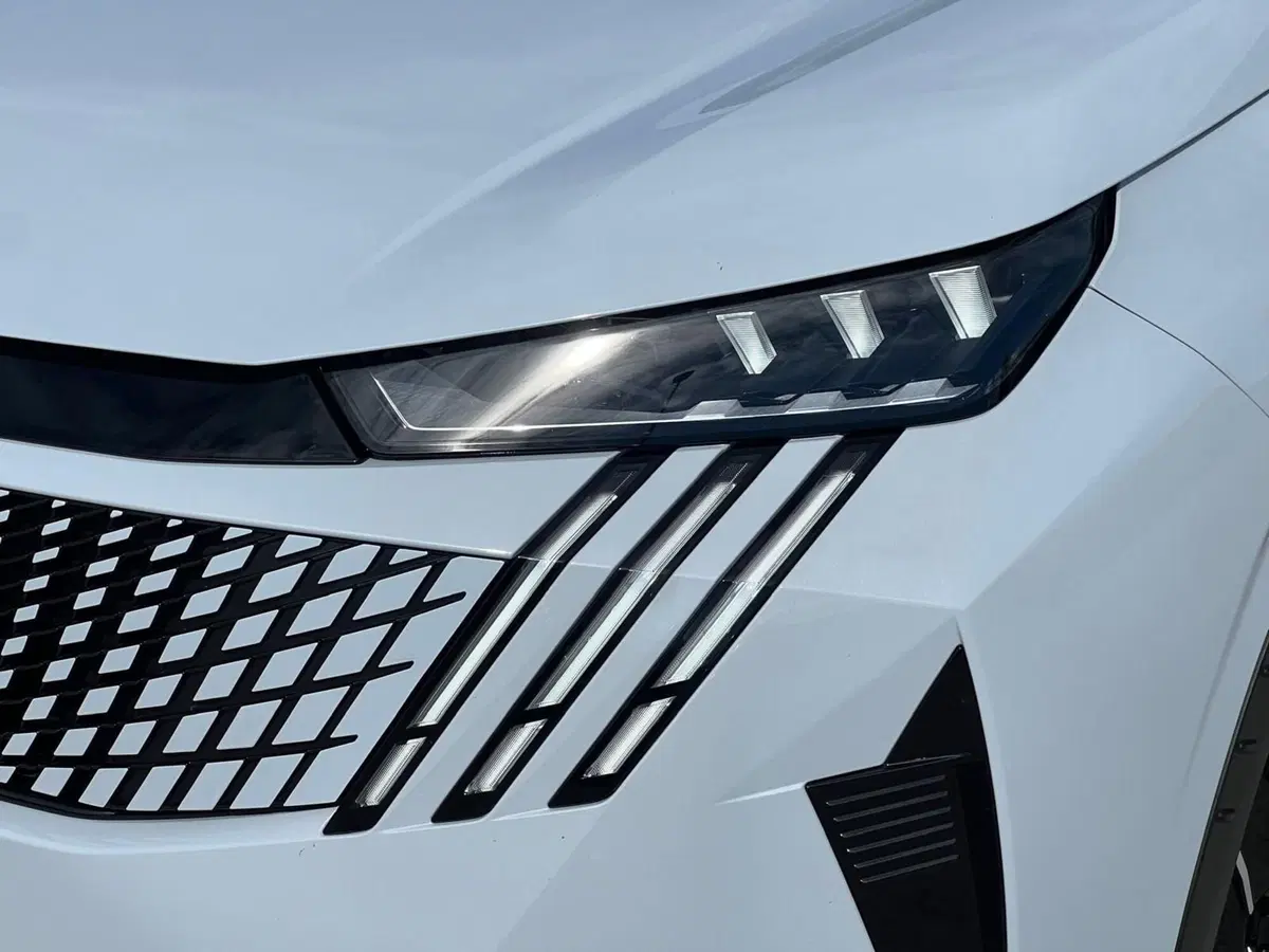 Peugeot 3008 usata a Matera (4)