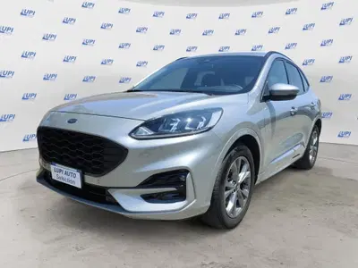 Ford Kuga 1.5 EcoBoost 150 CV 2WD ST-Line del 2024 usata a Pistoia