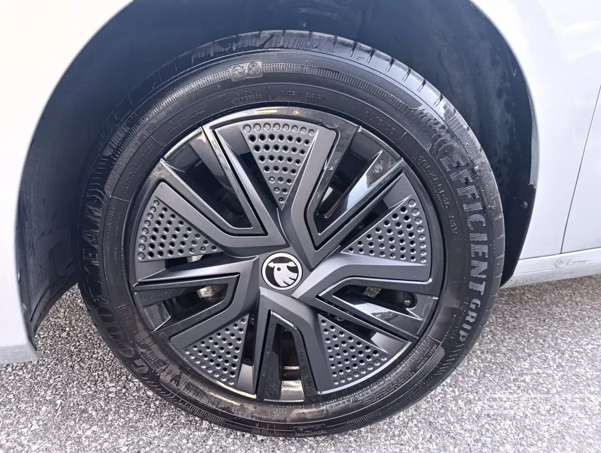 Skoda Fabia usata a Livorno (10)