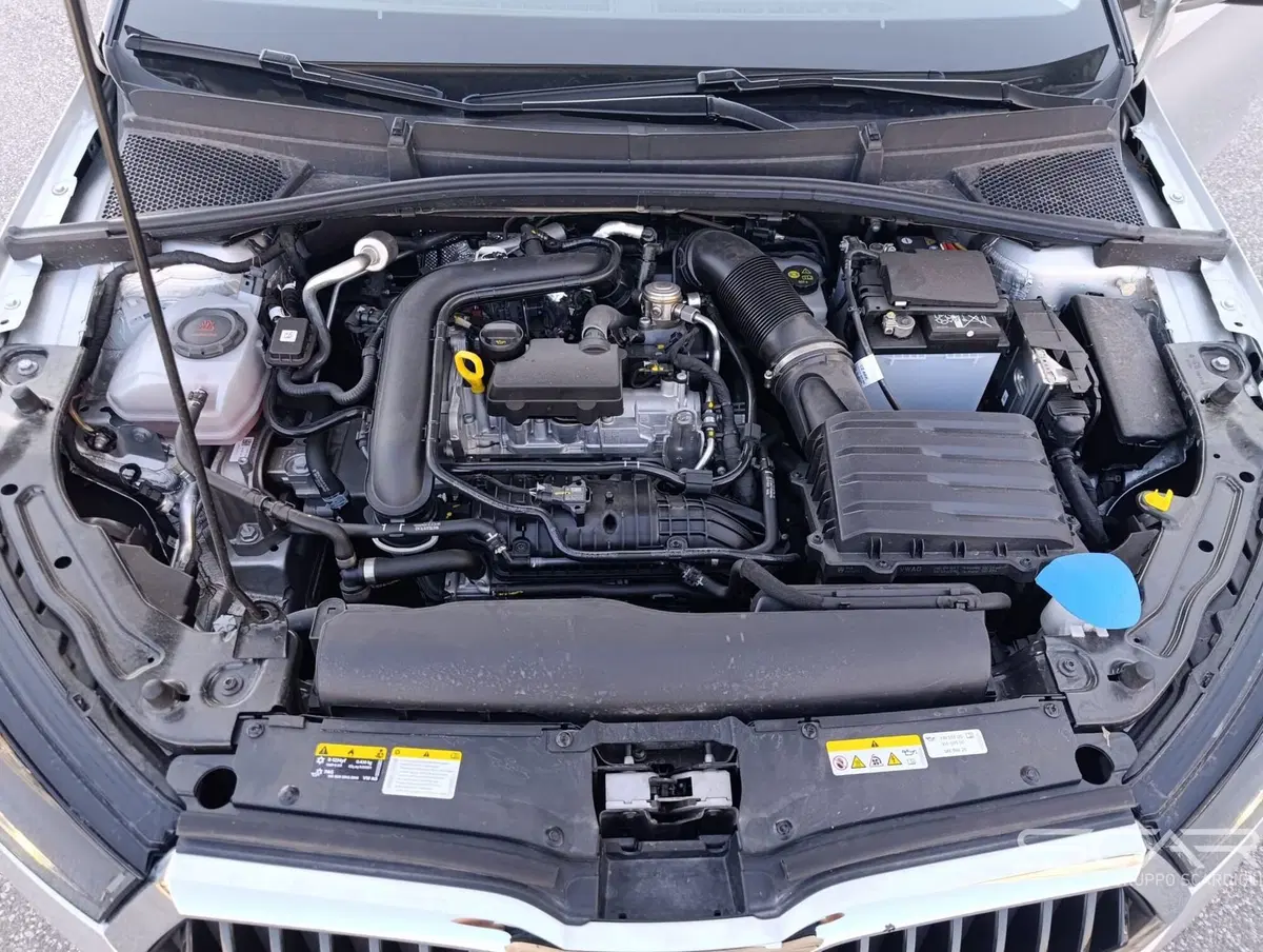 Skoda Fabia usata a Livorno (15)