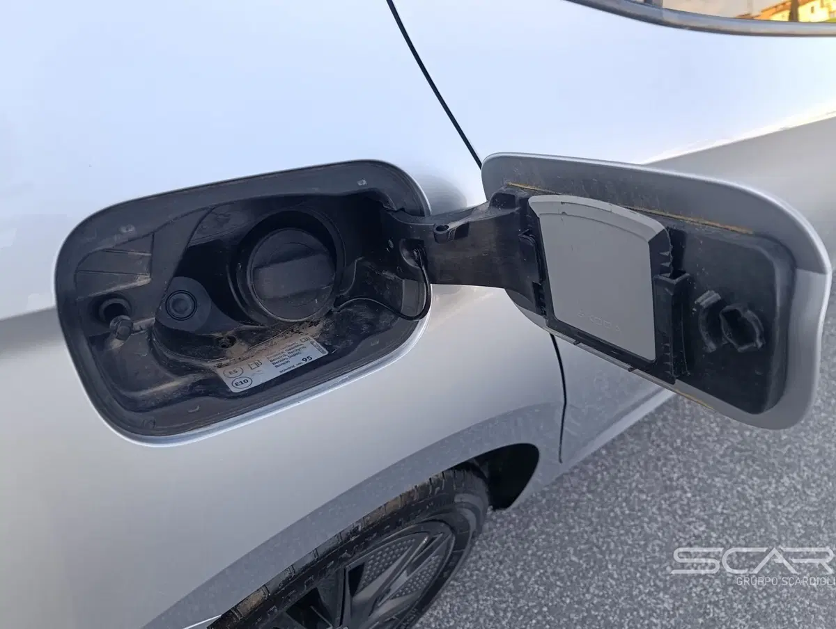 Skoda Fabia usata a Livorno (16)