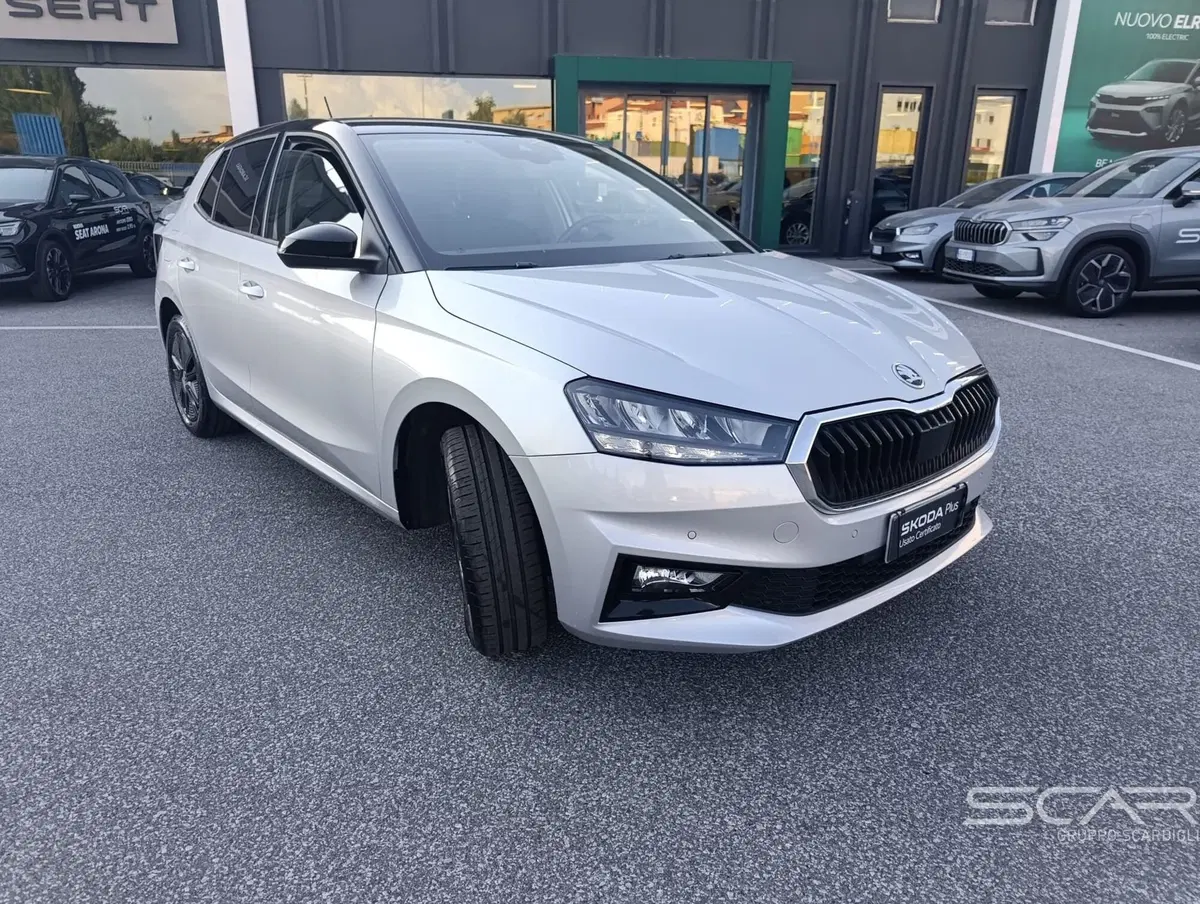 Skoda Fabia usata a Livorno (2)
