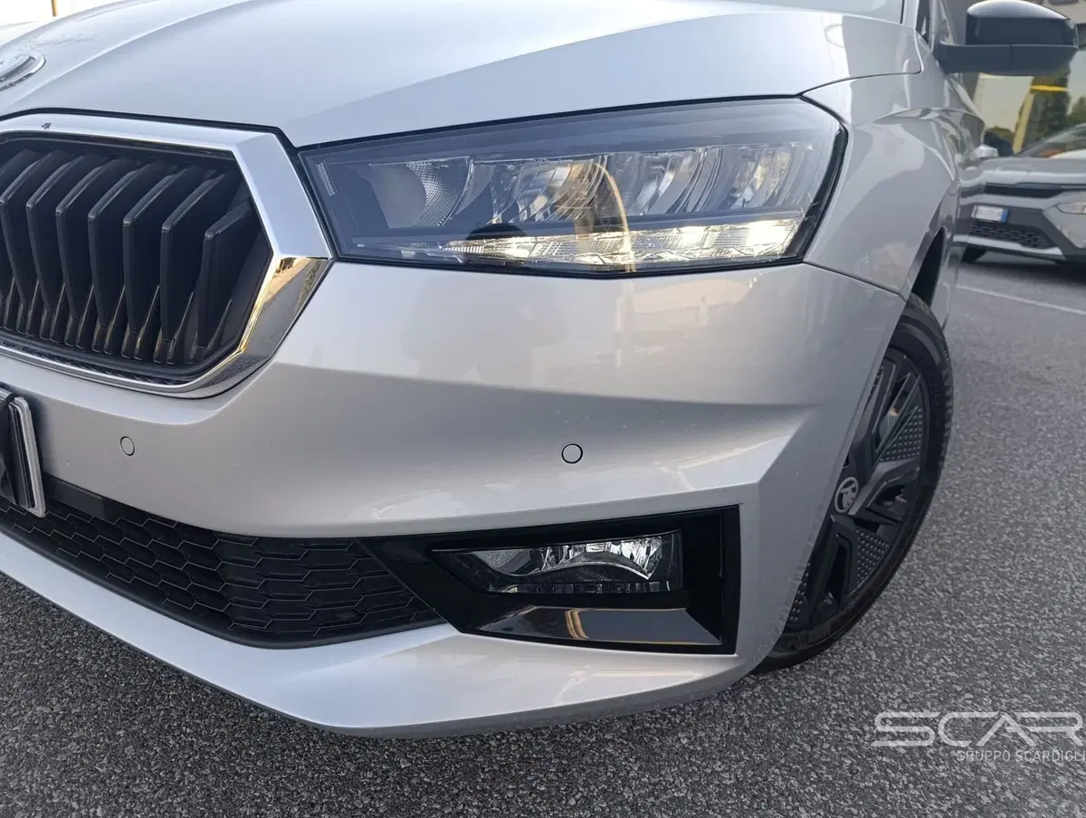 Skoda Fabia usata a Livorno (7)