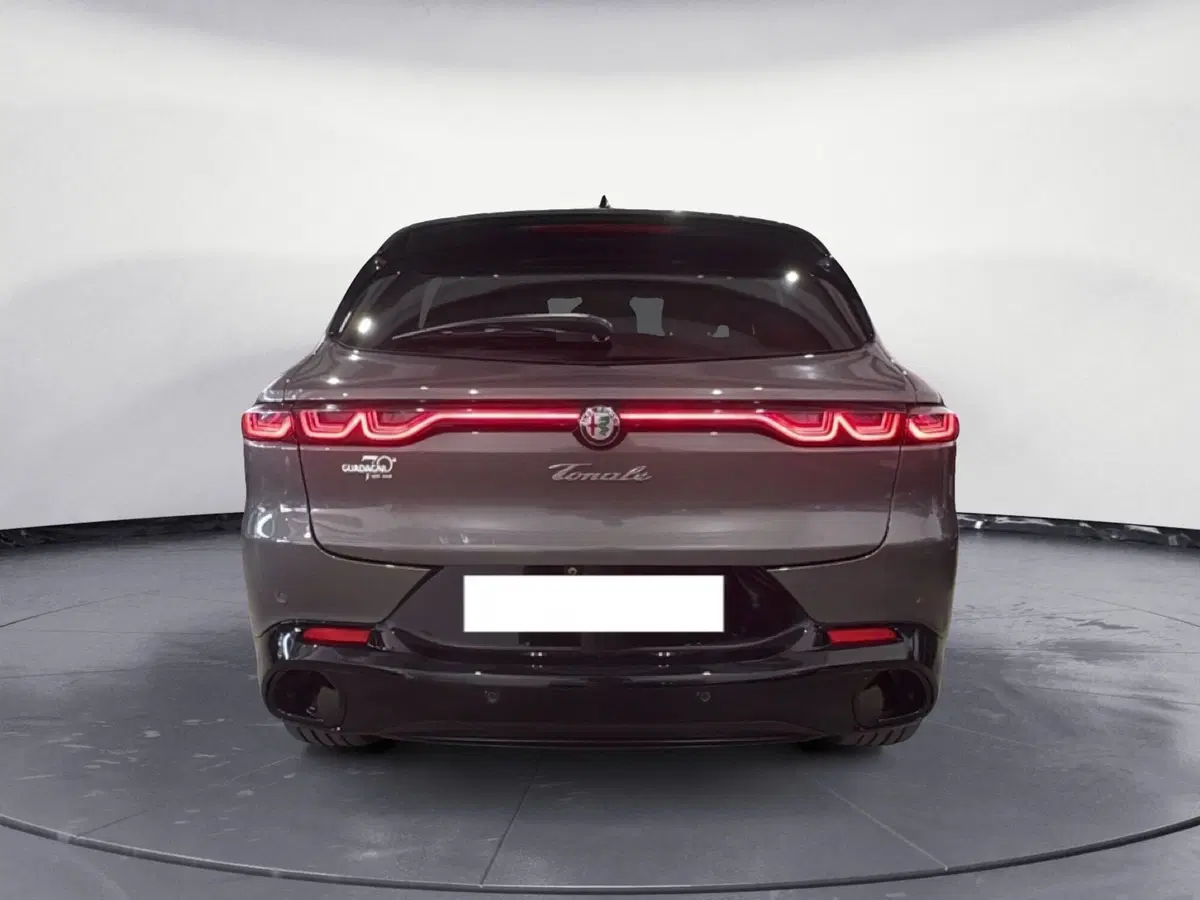 Alfa Romeo Tonale usata a Agrigento (4)