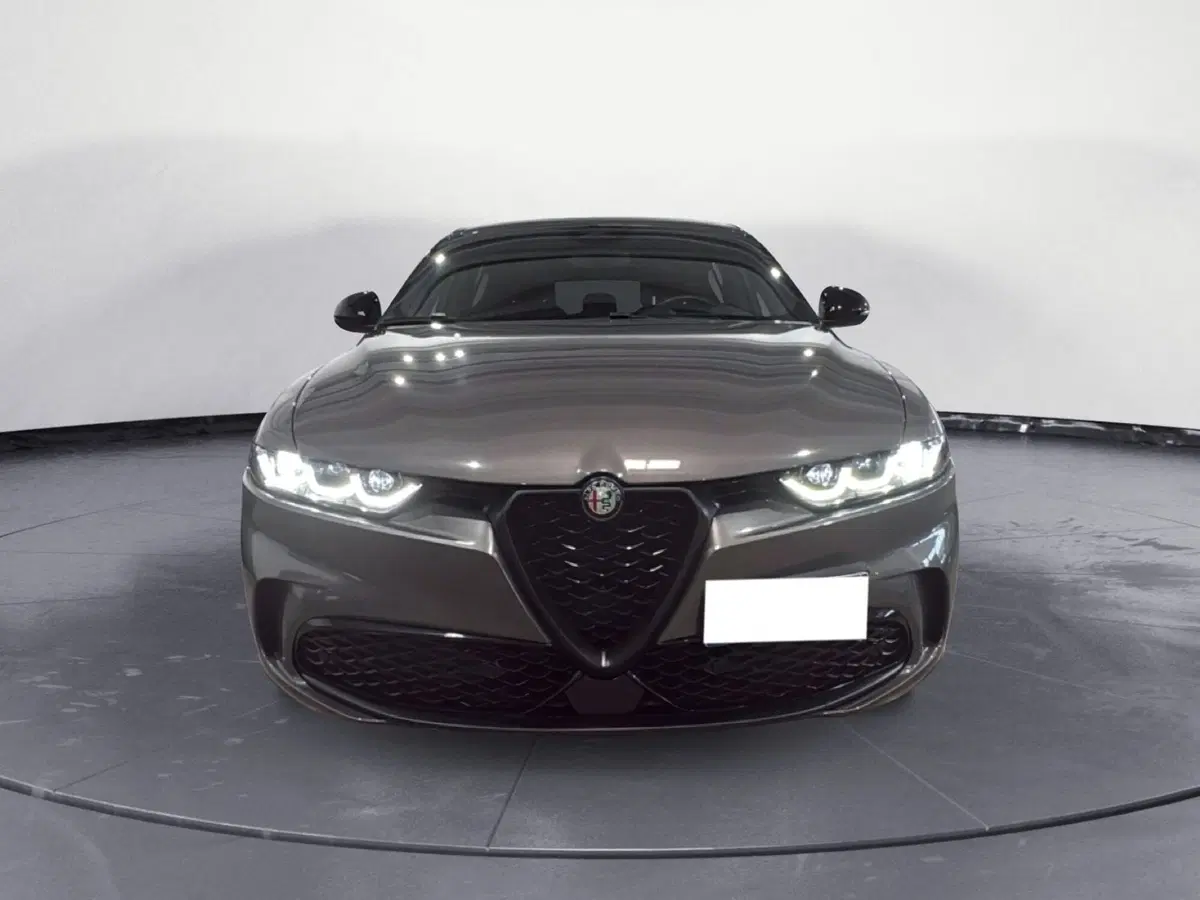 Alfa Romeo Tonale usata a Agrigento (5)
