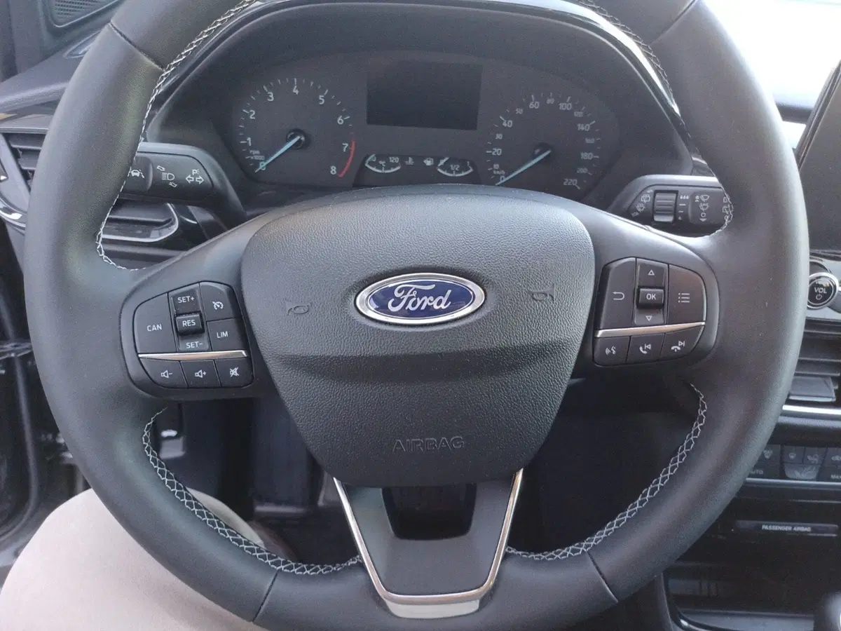 Ford Puma usata a Frosinone (13)