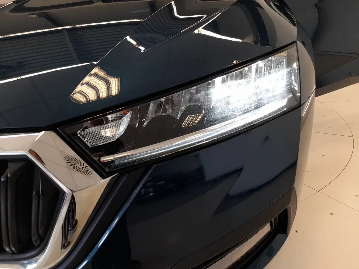 Skoda Octavia Station Wagon usata a Bologna (7)