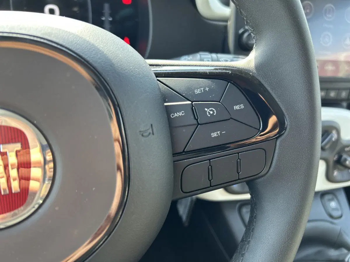 Fiat Panda Cross usata a Cuneo (16)