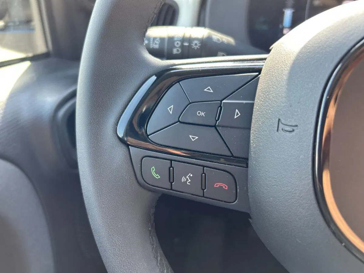 Fiat Panda Cross usata a Cuneo (17)