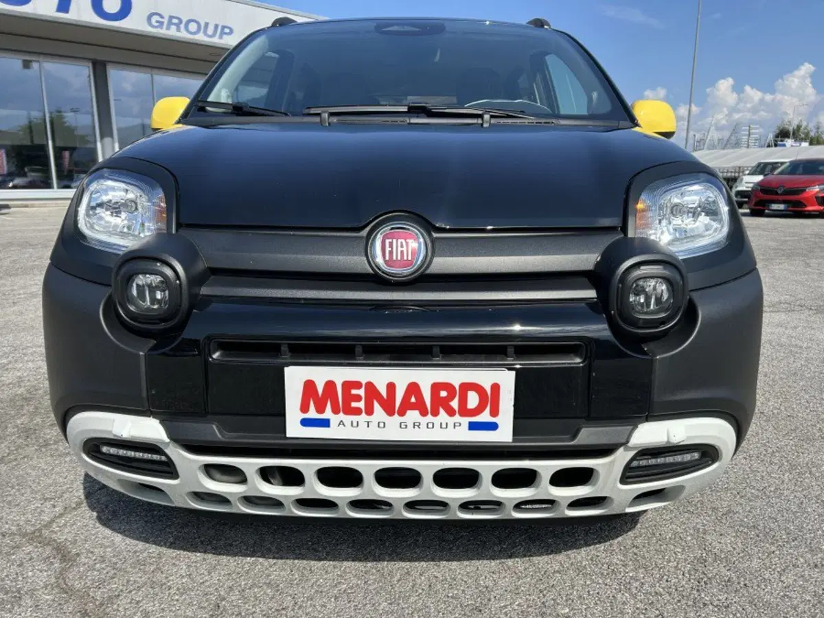 Fiat Panda Cross usata a Cuneo (2)