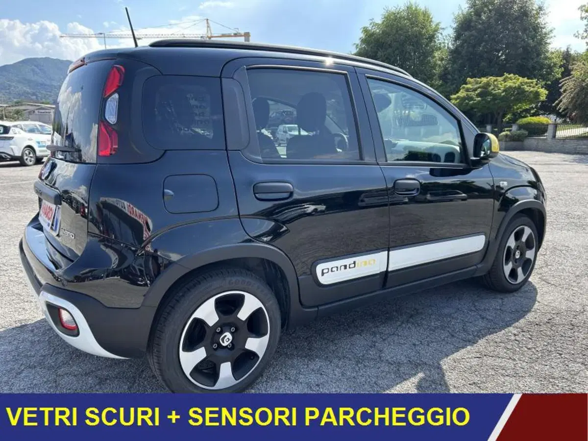 Fiat Panda Cross usata a Cuneo (3)