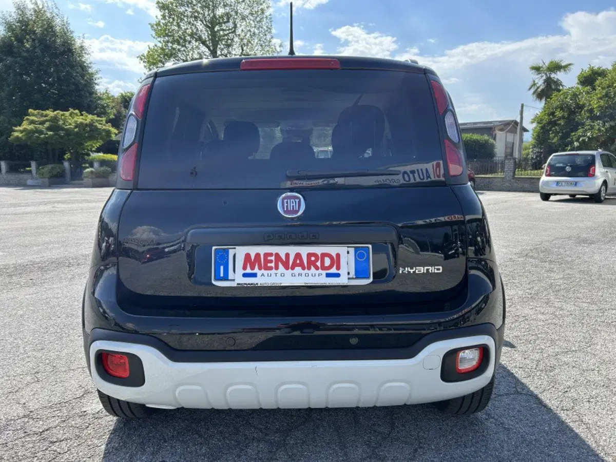 Fiat Panda Cross usata a Cuneo (4)