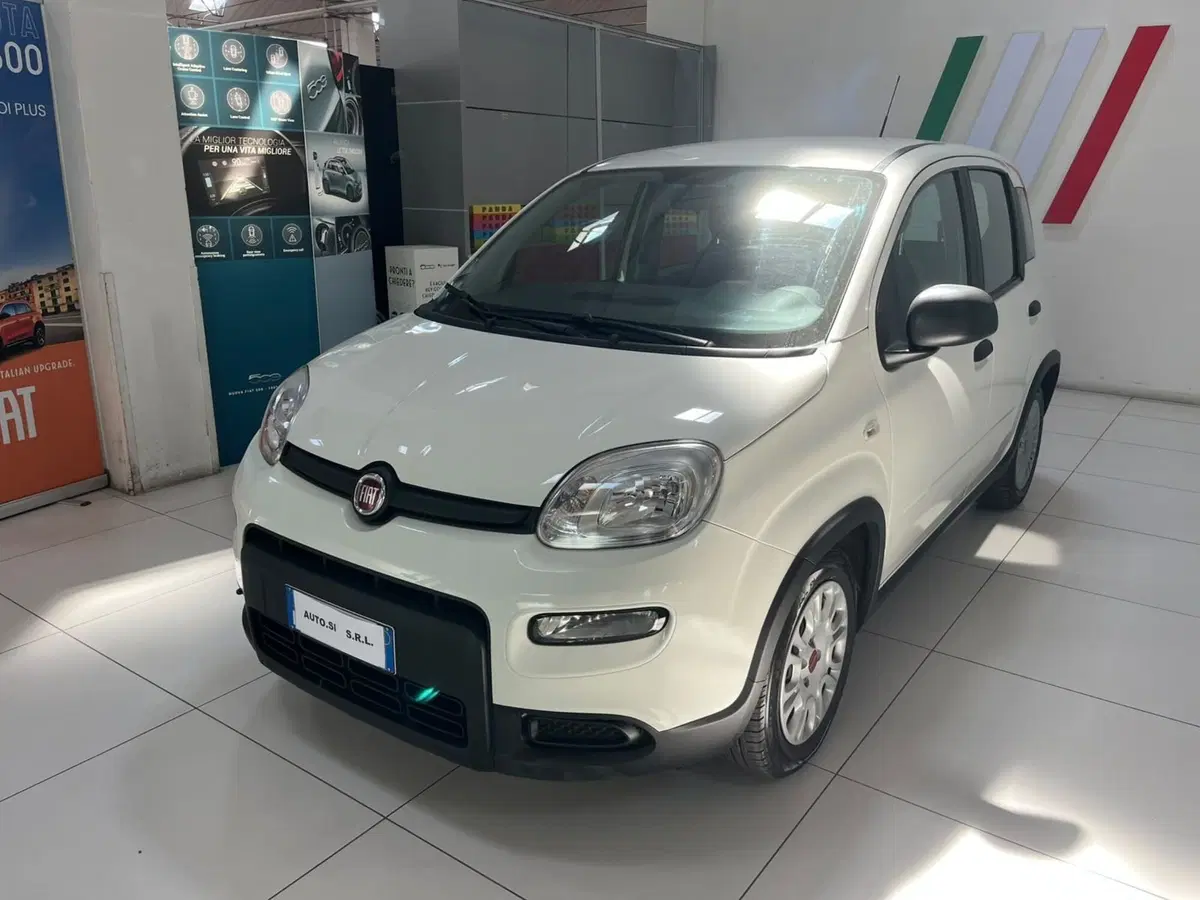 Fiat Panda Cross usata a Lucca