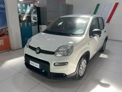 Fiat Panda Cross Cross 1.0 FireFly S&amp;S Hybrid del 2023 usata a Altopascio