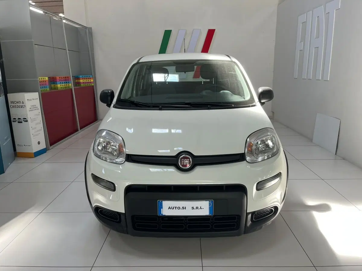 Fiat Panda Cross usata a Lucca (2)