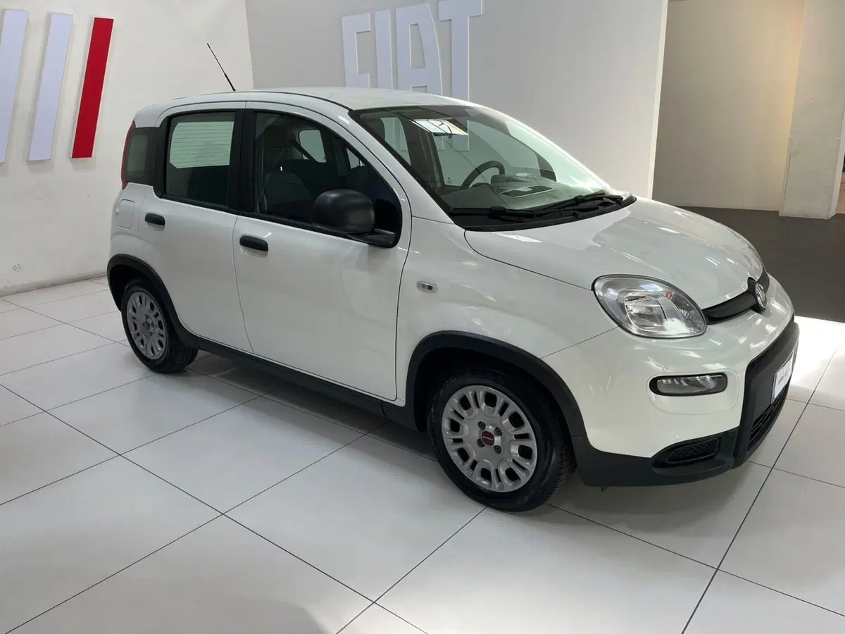 Fiat Panda Cross usata a Lucca (4)