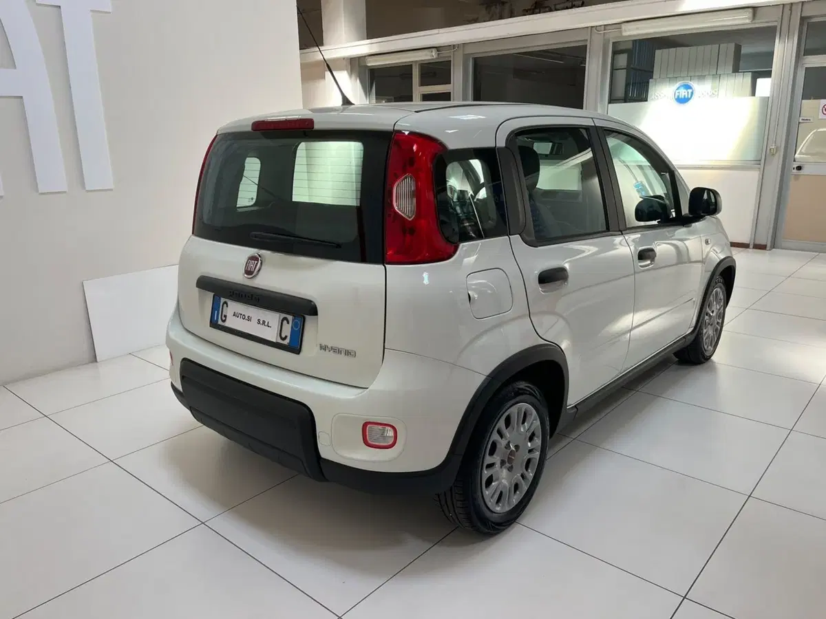 Fiat Panda Cross usata a Lucca (5)