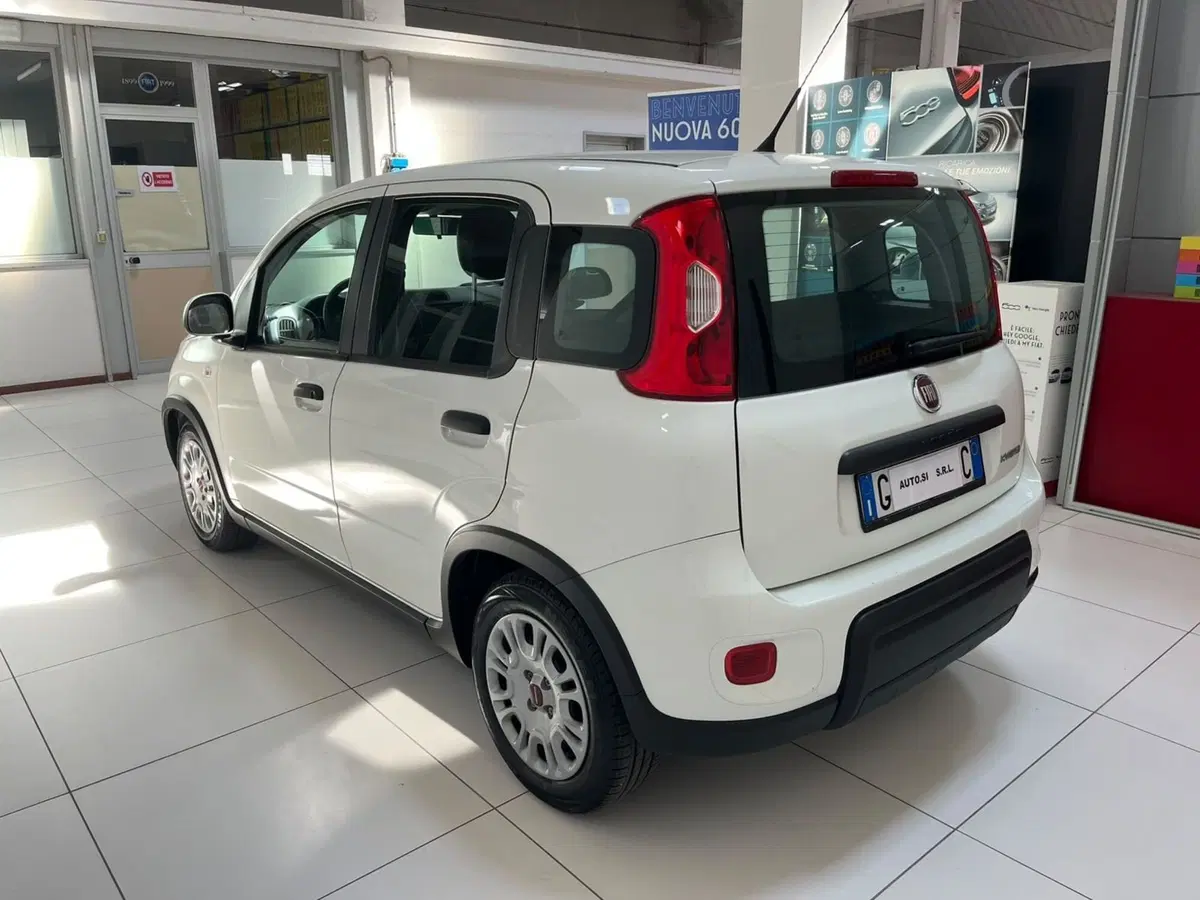 Fiat Panda Cross usata a Lucca (7)