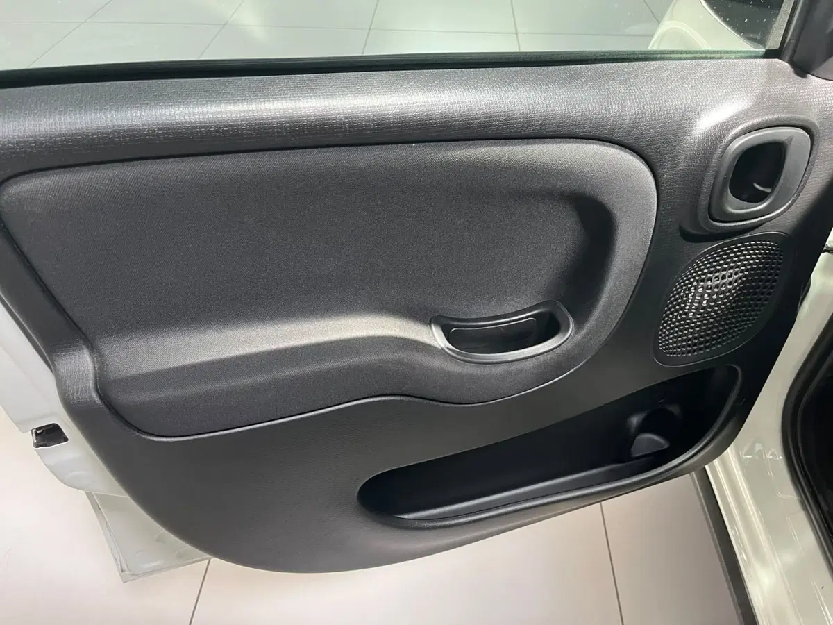 Fiat Panda Cross usata a Lucca (9)