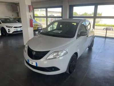 Lancia Ypsilon 1.2 69 CV 5 porte GPL Ecochic Elefantino del 2018 usata a Lucca