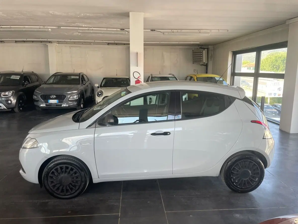 Lancia Ypsilon usata a Lucca (2)
