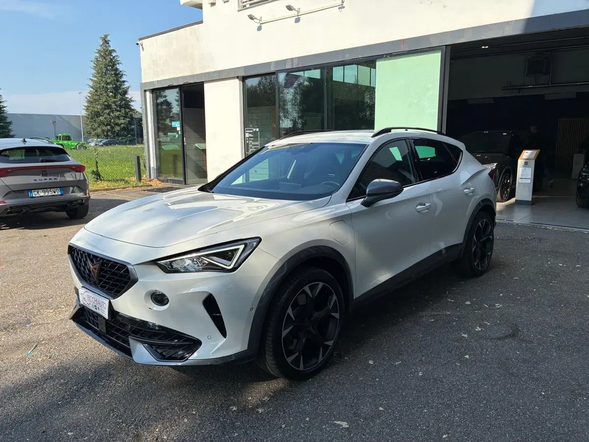 Cupra Formentor usata a Monza e Brianza (2)