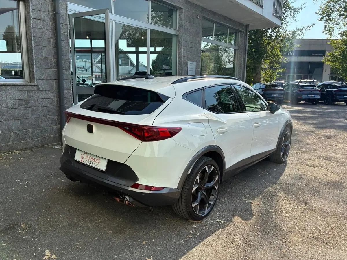 Cupra Formentor usata a Monza e Brianza (3)