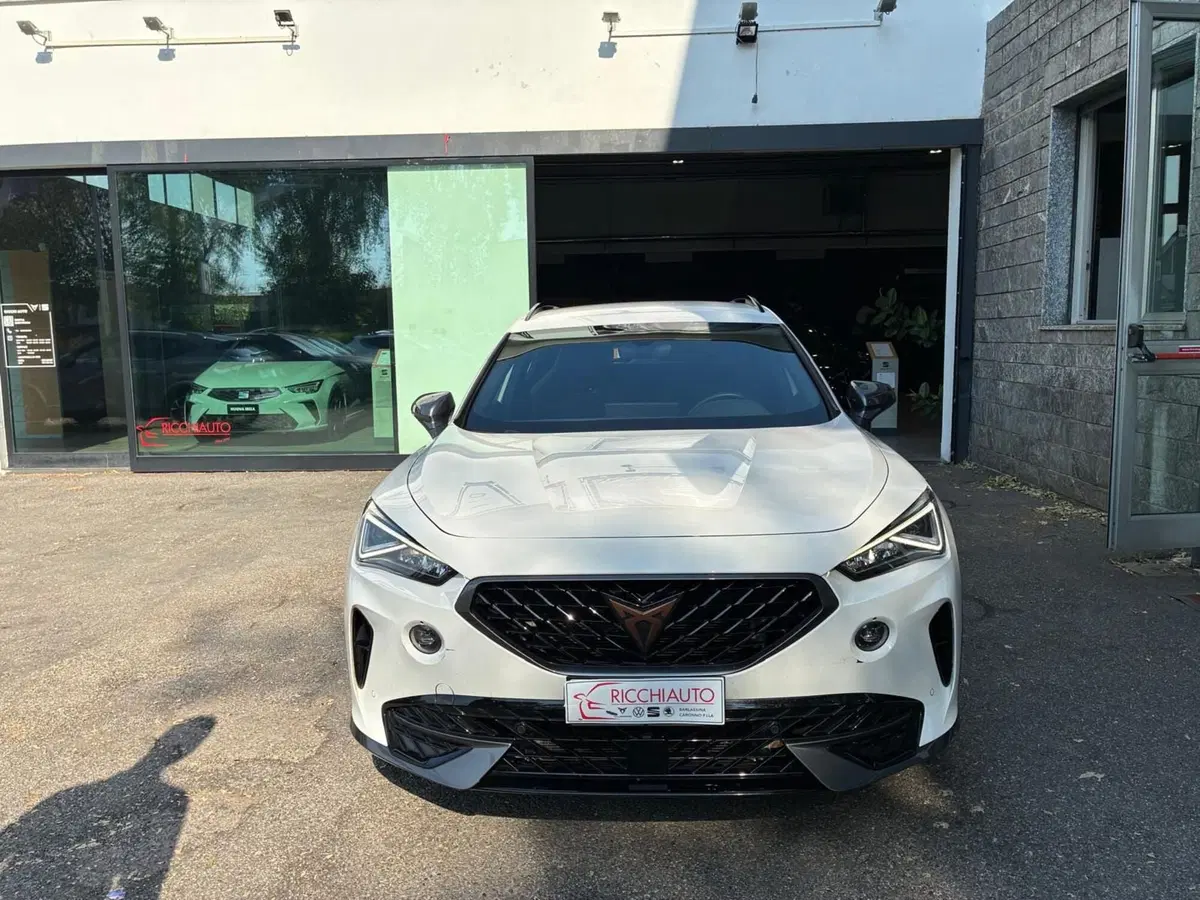 Cupra Formentor usata a Monza e Brianza (5)