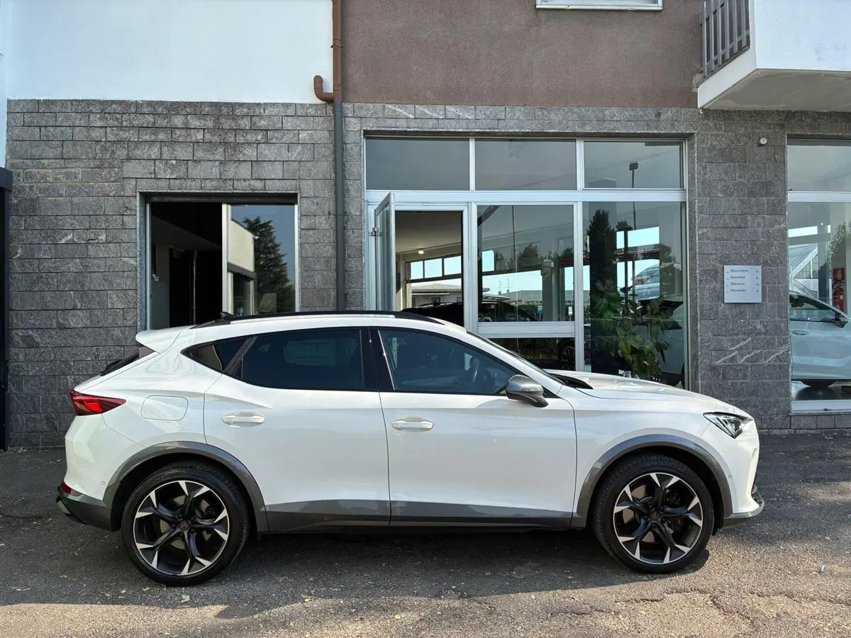 Cupra Formentor usata a Monza e Brianza (6)