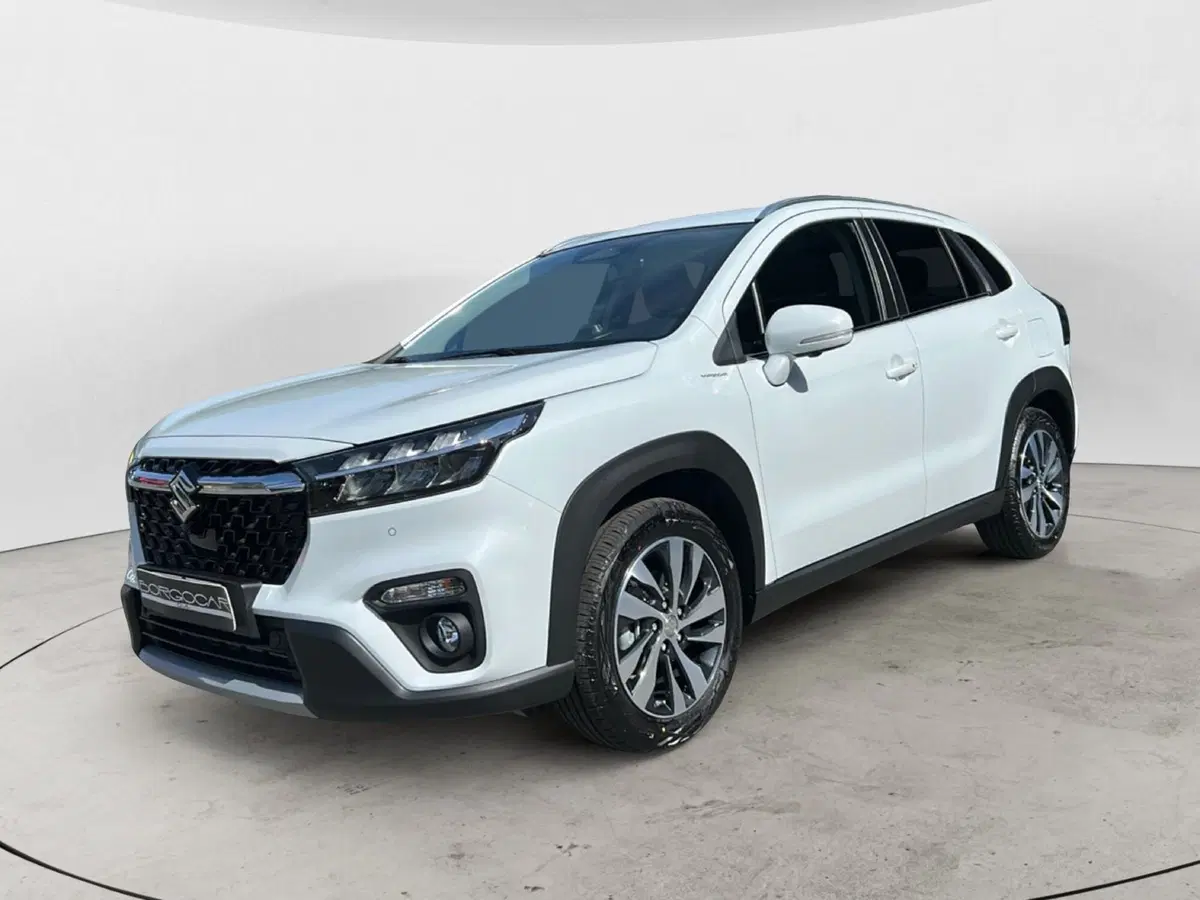 Suzuki S-Cross nuova a Vercelli (2)