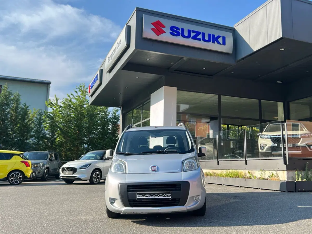 Fiat Fiorino usata a Vercelli (2)