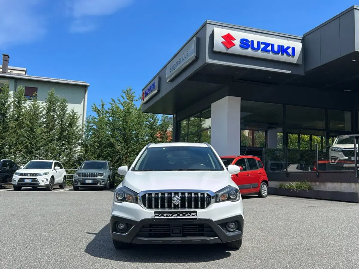 Suzuki S-Cross usata a Vercelli (2)