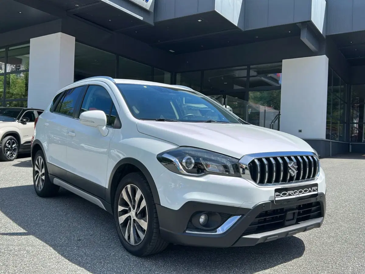 Suzuki S-Cross usata a Vercelli (9)