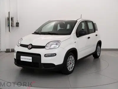 Fiat Panda Cross Cross 1.0 FireFly S&amp;S Hybrid del 2023 usata a Busto Arsizio