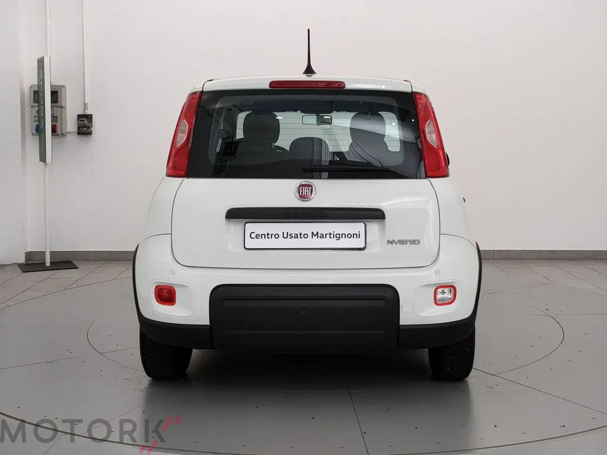 Fiat Panda Cross usata a Varese (4)