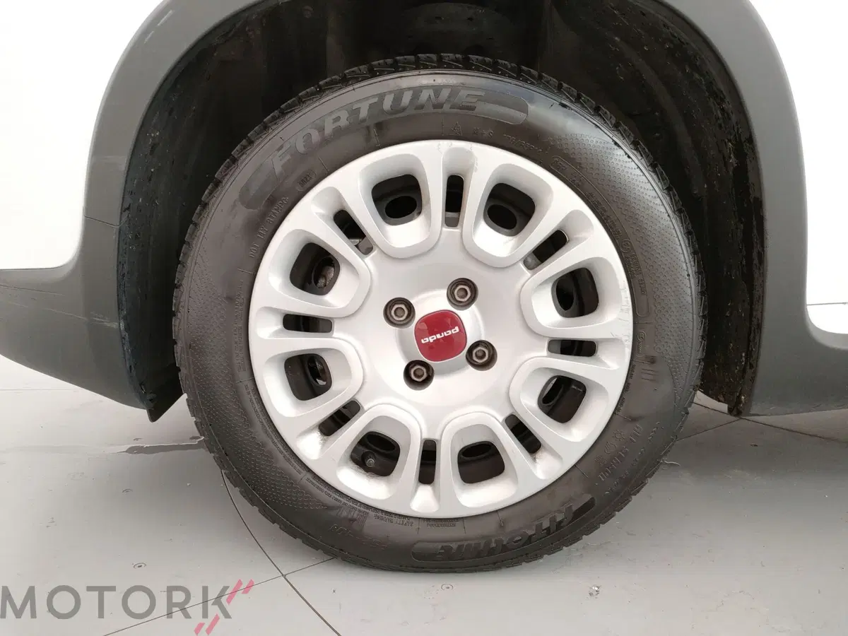 Fiat Panda Cross usata a Varese (6)