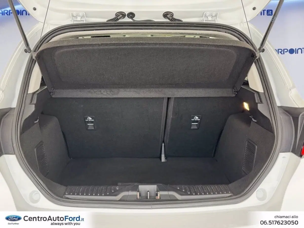 Ford Fiesta usata a Roma (10)