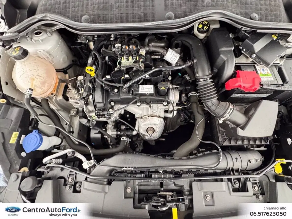 Ford Fiesta usata a Roma (11)