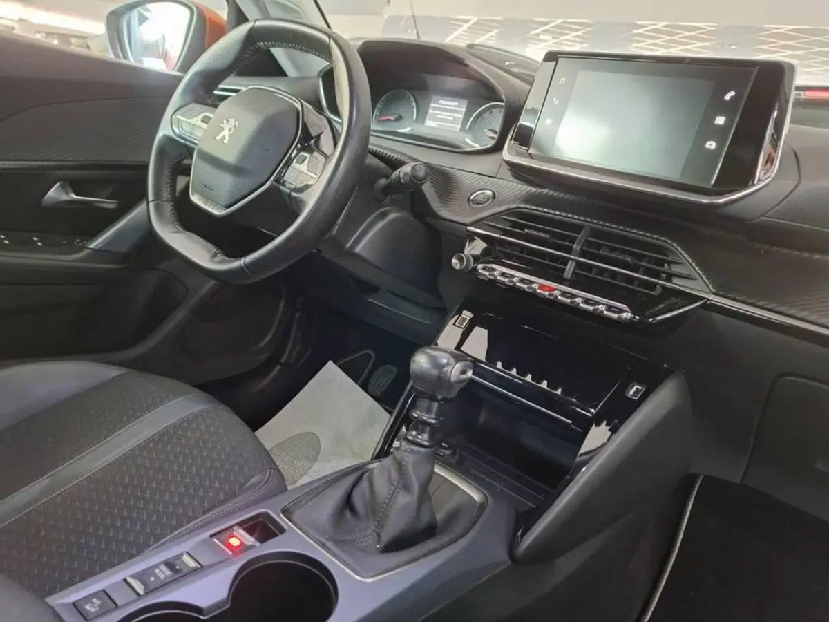 Peugeot 2008 usata a Torino (10)