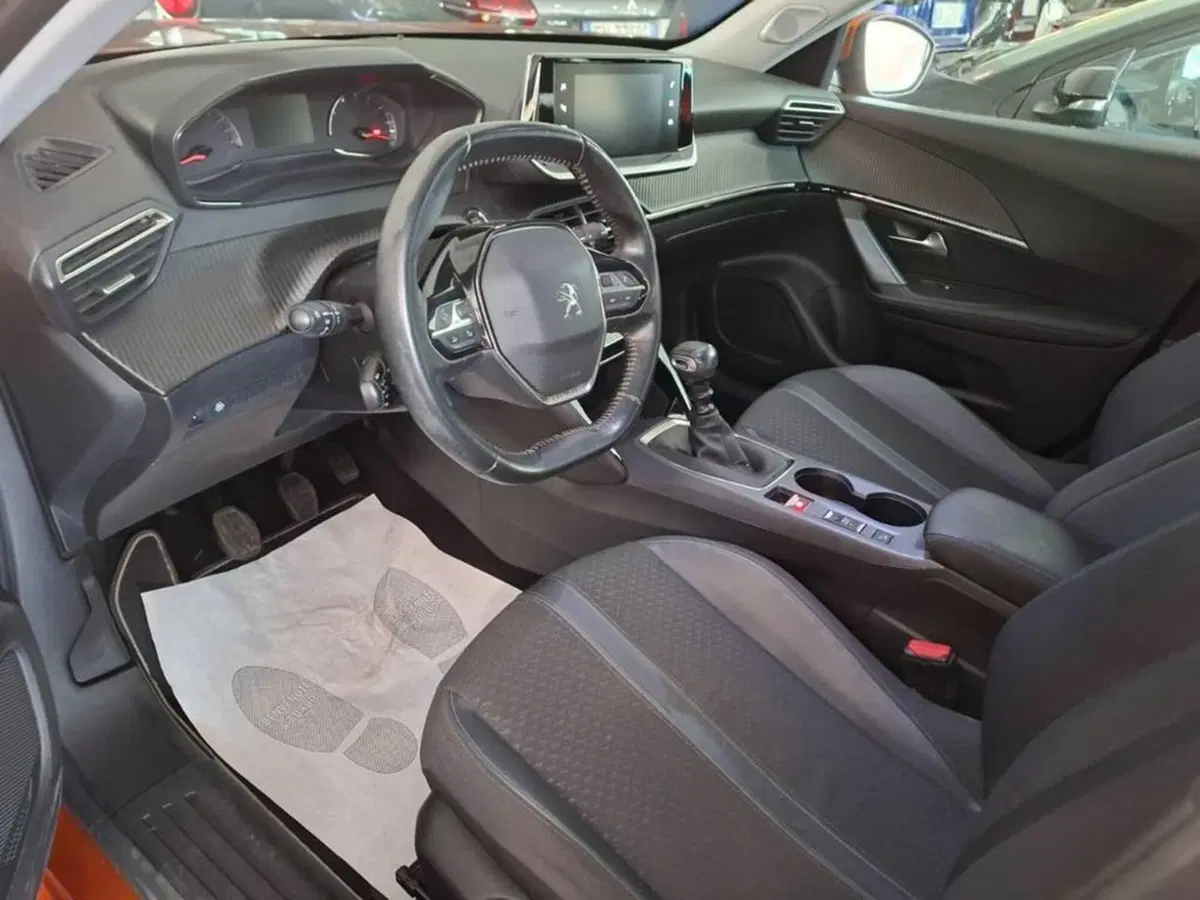 Peugeot 2008 usata a Torino (11)