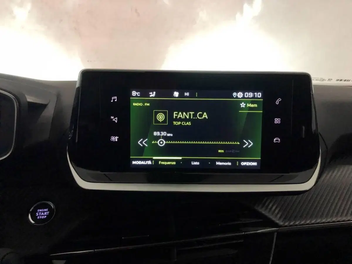 Peugeot 2008 usata a Torino (8)