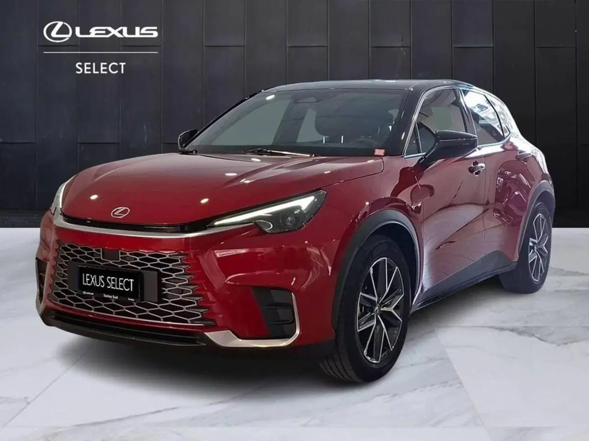 Lexus LBX usata a Torino
