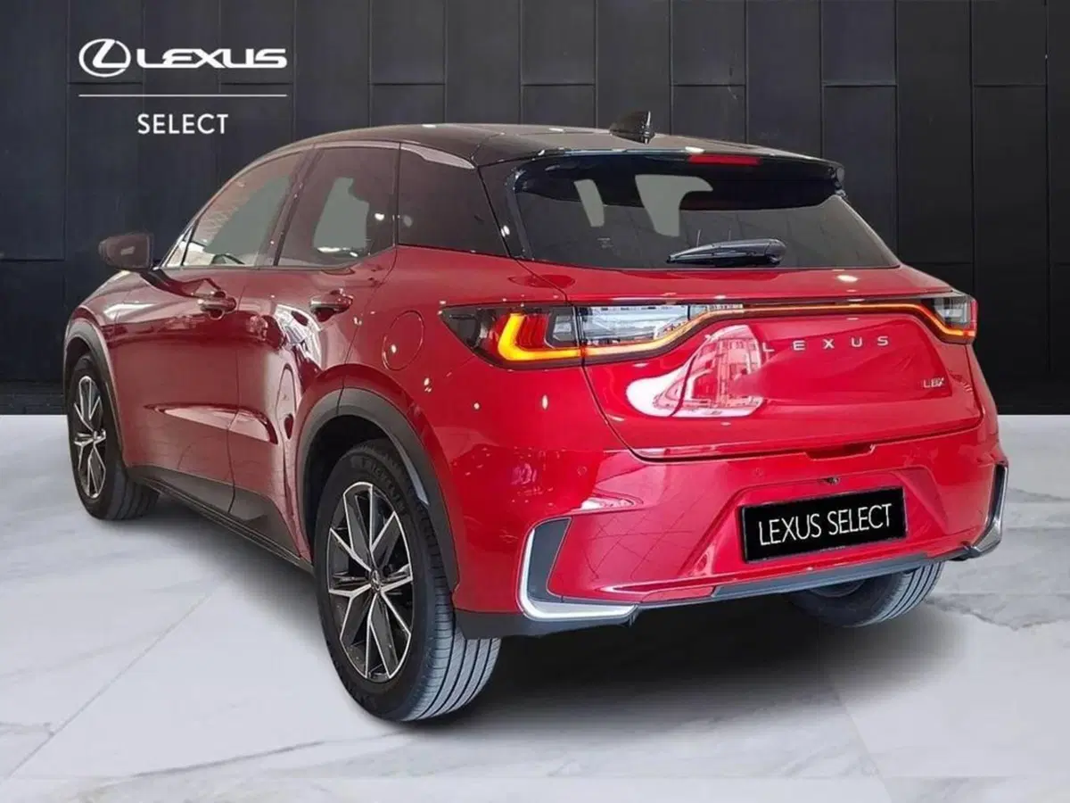 Lexus LBX usata a Torino (2)