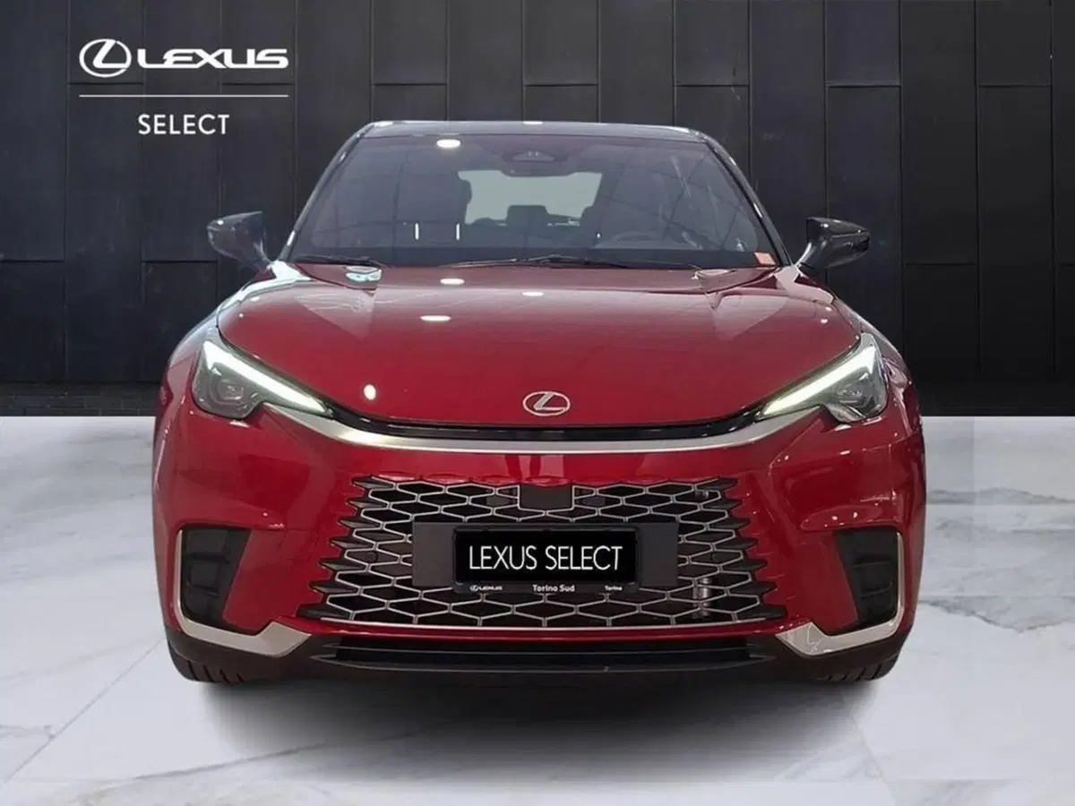 Lexus LBX usata a Torino (3)